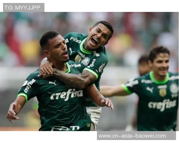 帕尔梅拉斯坚决拒绝1600万欧元报价继续留住小将爱德华多 帕尔梅拉斯坚决拒绝1600万欧元报价继续留住小将爱德华多