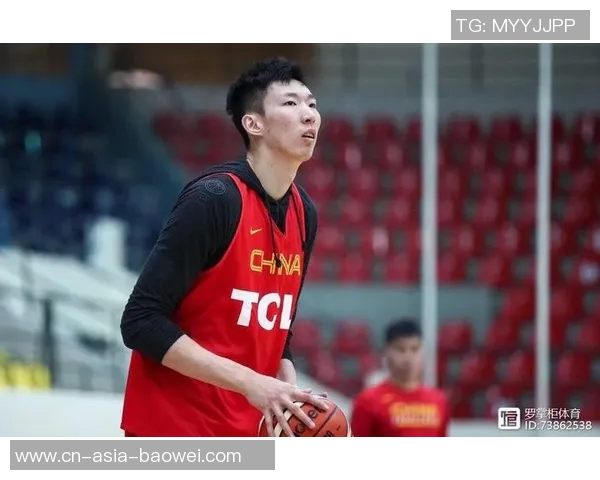 舍什科膝伤困扰或将缺席斯洛文尼亚世预赛征战