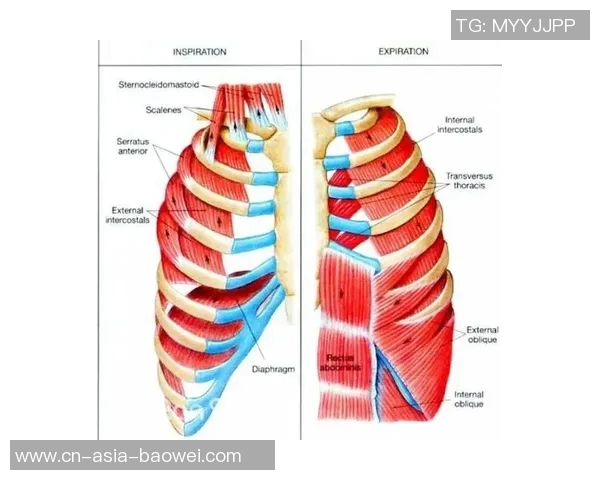 文班需提升核心力量英格拉姆训练后表现显著提升